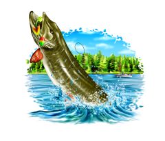 Muskie