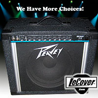 Peavey Bravo 112