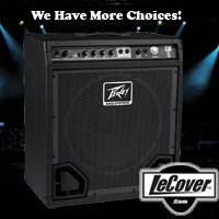 Peavey Max 115