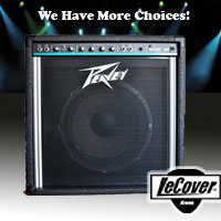 Peavey Basic 60