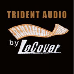 Trident 88-16 channel