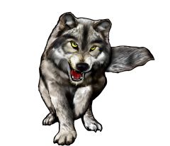 Wolf (Full Body)